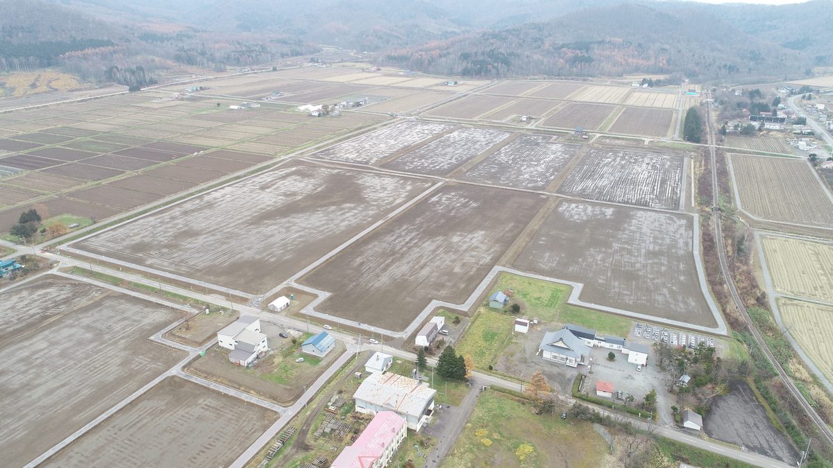 土地造成工事の施工状況